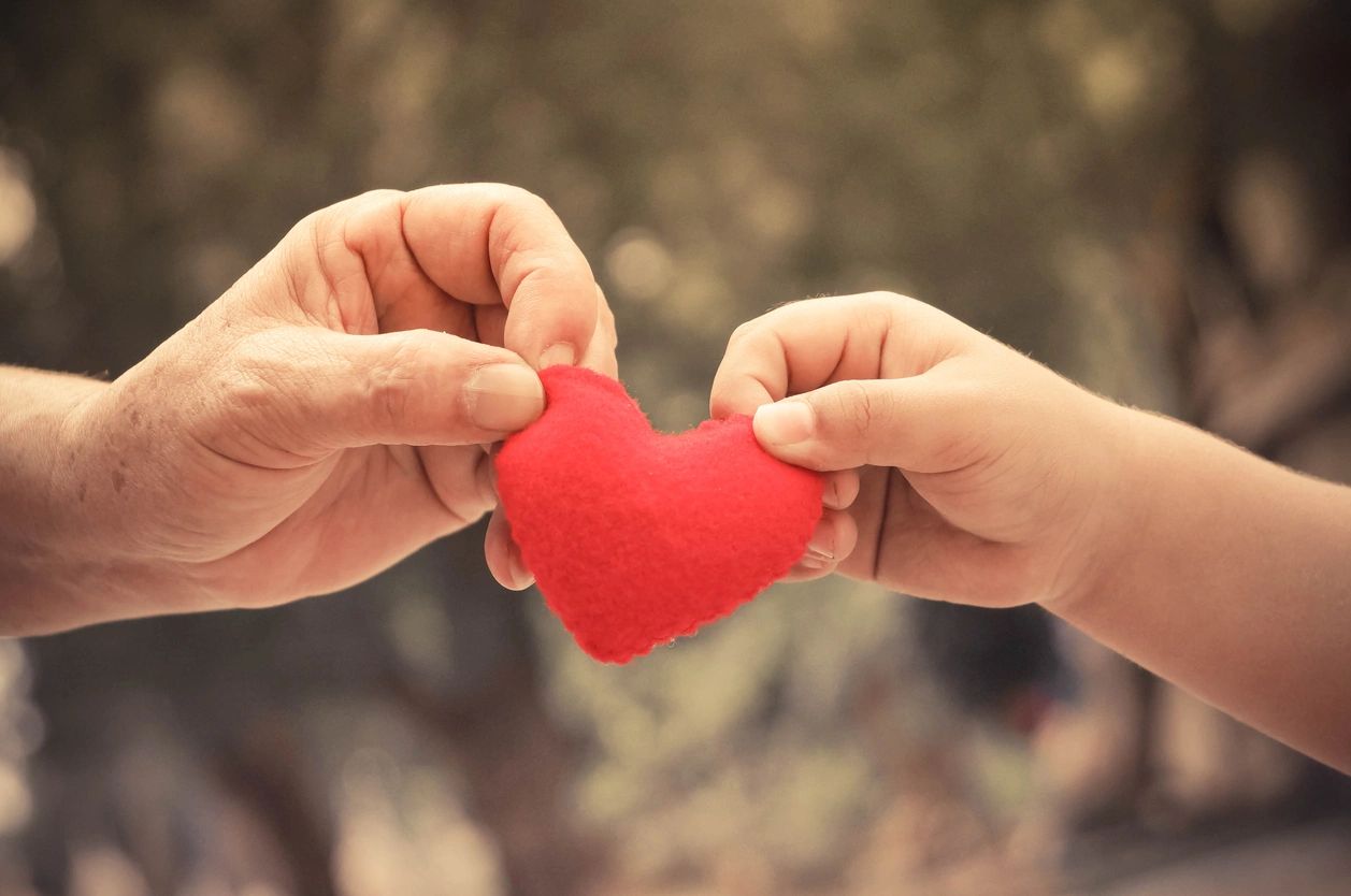 Two hands holding a red heart in front of trees.